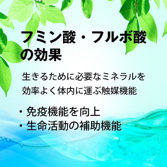 フミン酸フルボ酸には生きるために必要なミネラルを効率よく体内に運ぶ触媒機能があります。免疫機能の向上、生命活動の補助機能が見込めます