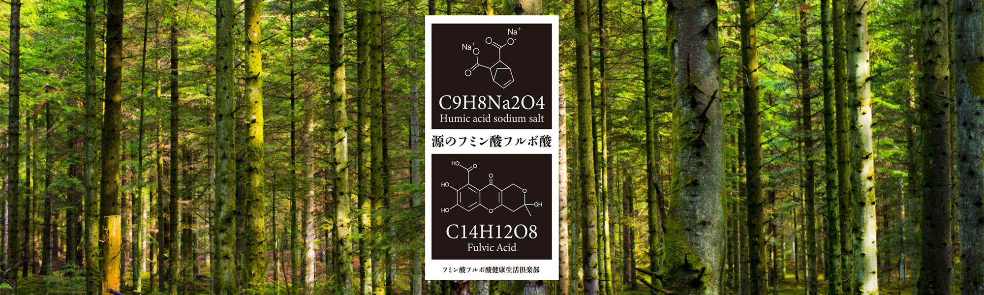 フルフミン405 フルボ酸　賞味期限2027年５月３０日 サプリメント – GMG Corporation